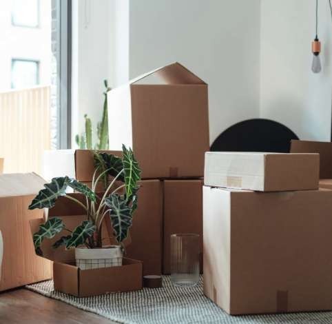 Ready for Move-In